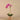Flowers-Artificial Orchid Arrangement-Bloomr