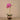 Flowers-Artificial Orchid Arrangement-Bloomr