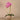 Flowers-Artificial Orchid Arrangement-Bloomr