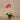 Flowers-Artificial Orchid Arrangement-Bloomr
