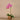 Flowers-Artificial Orchid Arrangement-Bloomr