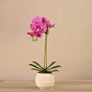 Flowers-Artificial Orchid Arrangement-Bloomr