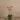 Flowers-Artificial Orchid Arrangement-Bloomr