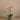 Flowers-Artificial Orchid Arrangement-Bloomr