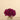 Flowers-Artificial Dahlia Arrangement in Glass Vase-Bloomr