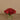 Floral Arrangement-Rose Arrangement in Glass Vase-Bloomr