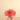 Flowers-Artificial Dahlia Arrangement in Glass Vase-Bloomr