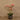 Flowers-Artificial Orchid Arrangement-Bloomr