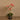 Flowers-Artificial Orchid Arrangement-Bloomr