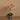 Flowers-Artificial Orchid Arrangement-Bloomr