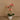 Flowers-Artificial Orchid Arrangement-Bloomr