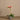 Flowers-Modern Orchid Arrangement-Bloomr
