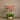 Flowers-Oasis Artificial Orchids in Gold Pot-Bloomr