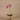Flowers-Artificial Orchid Arrangement-Bloomr
