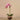 Flowers-Artificial Orchid Arrangement-Bloomr