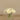 Flowers-Artificial Gerbera Arrangement in Glass Vase-Bloomr