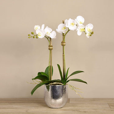 Flowers-Artificial Orchid Arrangement-Bloomr