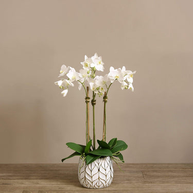 Flowers-Artificial Orchid Arrangement-Bloomr