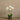 Flowers-Artificial Orchid Arrangement-Bloomr