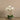 Flowers-Artificial Orchid Arrangement-Bloomr