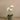 Flowers-Artificial Orchid Arrangement-Bloomr
