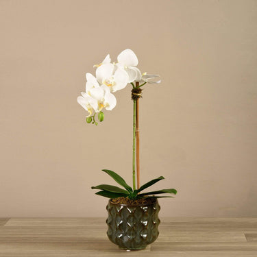 Flowers-Artificial Orchid Arrangement-Bloomr