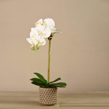 Flowers-Artificial Orchid Arrangement-Bloomr