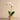 Flowers-Artificial Orchid Arrangement-Bloomr