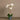 Flowers-Artificial Orchid Arrangement-Bloomr