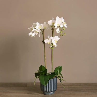 Flowers-Artificial Orchid Arrangement-Bloomr