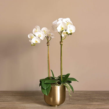 Flowers-Artificial Orchid Arrangement-Bloomr