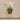 Flowers-Artificial Orchid Arrangement in Gold Standing Vase-Bloomr