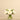 Flowers-Artificial Peony Arrangement in Glass Vase-Bloomr