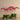 Flowers-Artificial Orchid Arrangement-Bloomr