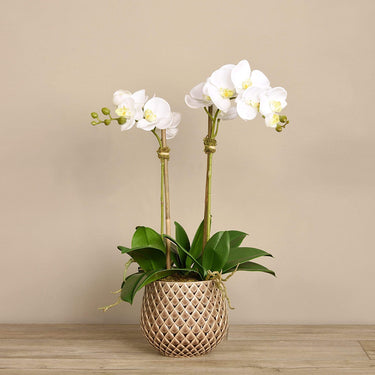 Flowers-Artificial Orchid Arrangement-Bloomr