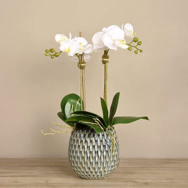 Flowers-Artificial Orchid Arrangement-Bloomr