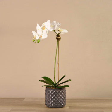 Flowers-Artificial Orchid Arrangement-Bloomr