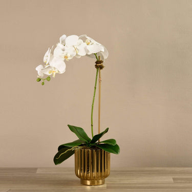 Flowers-Artificial Orchid Arrangement-Bloomr
