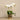 Flowers-Artificial Orchid Arrangement-Bloomr