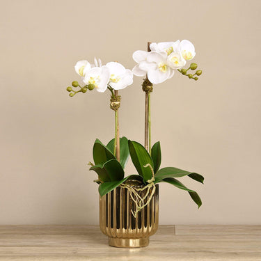 Flowers-Artificial Orchid Arrangement-Bloomr