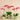 Flowers-Orchid Arrangement in Ceramic Vase-Bloomr