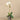 Flowers-Orchid Arrangement in Ceramic Vase-Bloomr