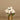 Flowers-Poinsettia Arrangement in Metal Vase-Bloomr