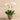 Flowers-Rustic Orchid Arrangement-Bloomr