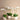 Flowers-Stella Orchid Arrangement-Bloomr