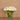 Floral Arrangement-Tulip Arrangement in Glass Vase-Bloomr