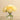 Floral Arrangement-Artificial Peony Arrangement in Glass Vase-Bloomr