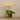 Flowers-Artificial Orchid Arrangement-Bloomr