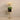 Flowers-Orchid Arrangement-Bloomr