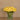 Floral Arrangement-Tulip Arrangement in Glass Vase-Bloomr